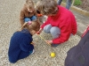 IMG-20220317-WA0004